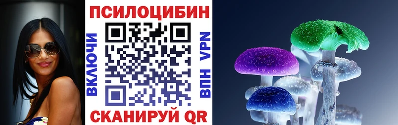 Псилоцибиновые грибы Magic Shrooms  Купить  Заозёрск 